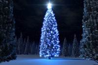 pic for Christmas Tree 480x320